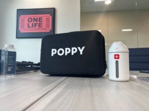 gratitude, growth, & green momenutm