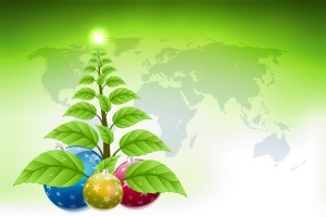 Green Christmas and make it less wasteful