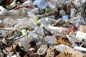 mandatory recycling laws and landfill bans