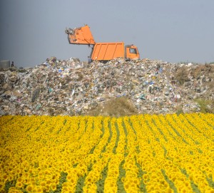 municipal solid waste at landfill