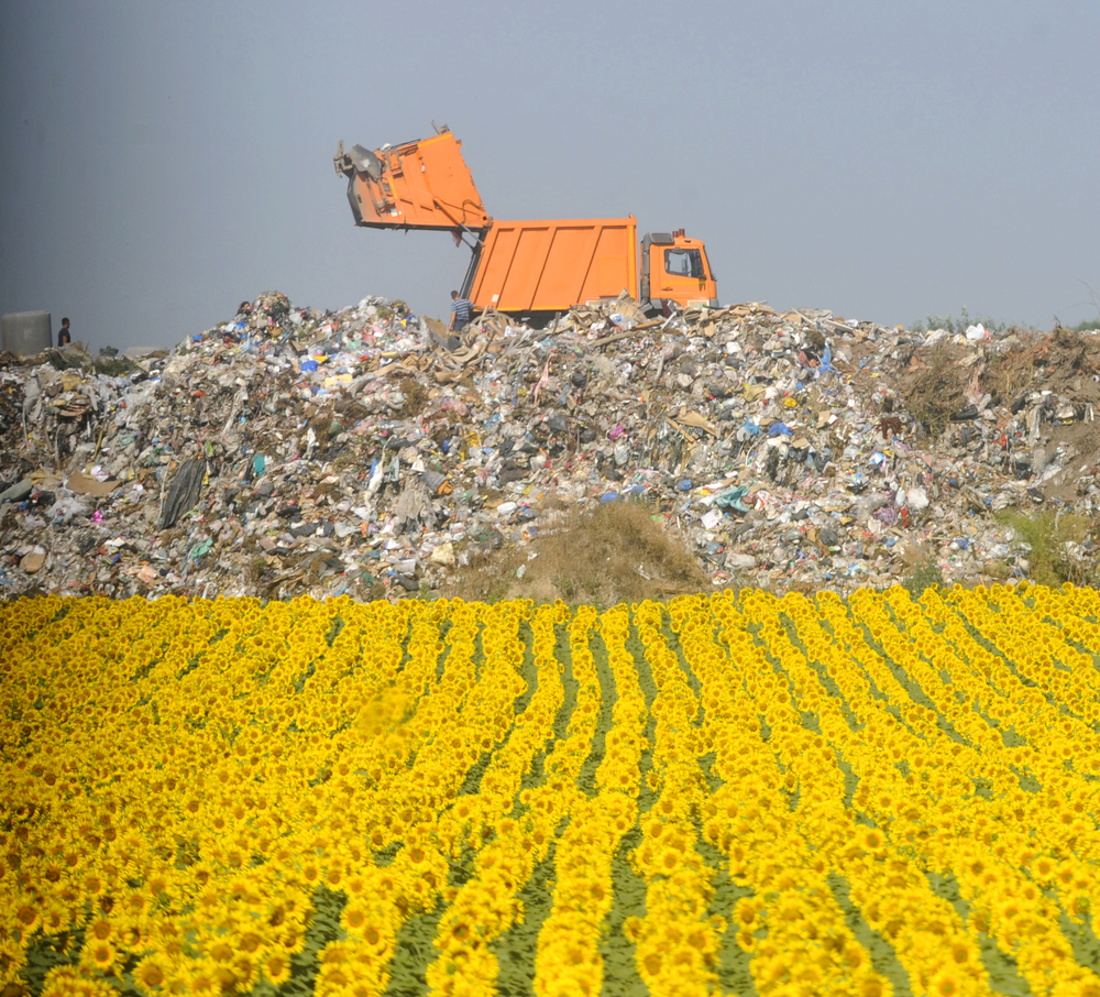 municipal-solid-waste-in-the-united-states-infographic-harmony