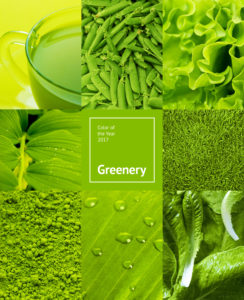 greenery pantone of the year recycling trends