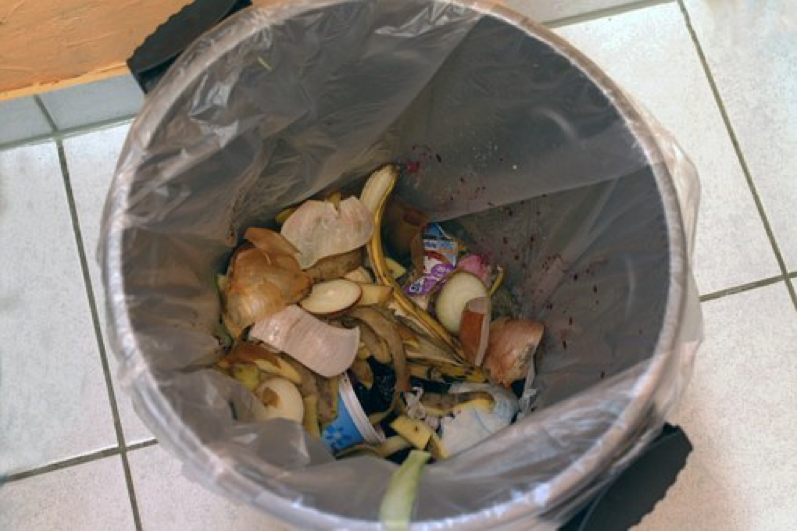 Indoor waste compactor vs trash can